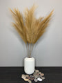 5 Faux Pampas Grass Plumes (Toffee)