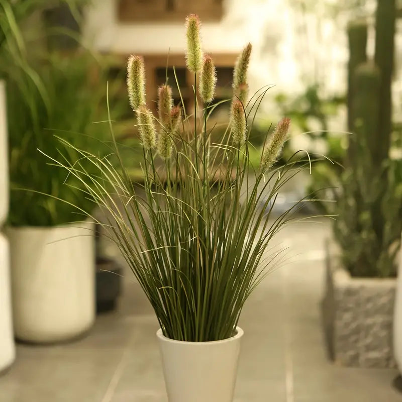 6 Stems Faux Bunny-tail Grass (Green Colourway)