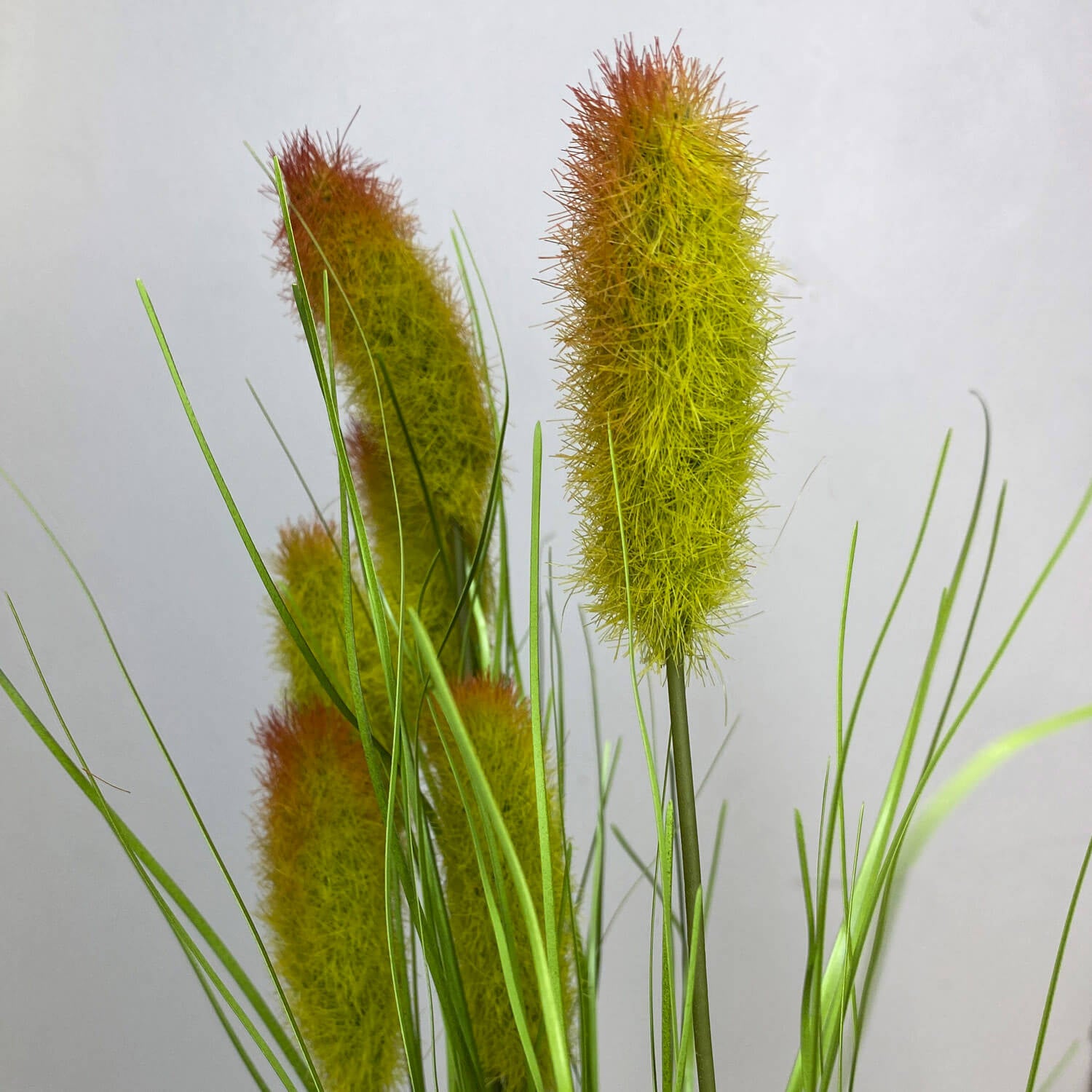 6 Stems Faux Bunny-tail Grass (Green Colourway)