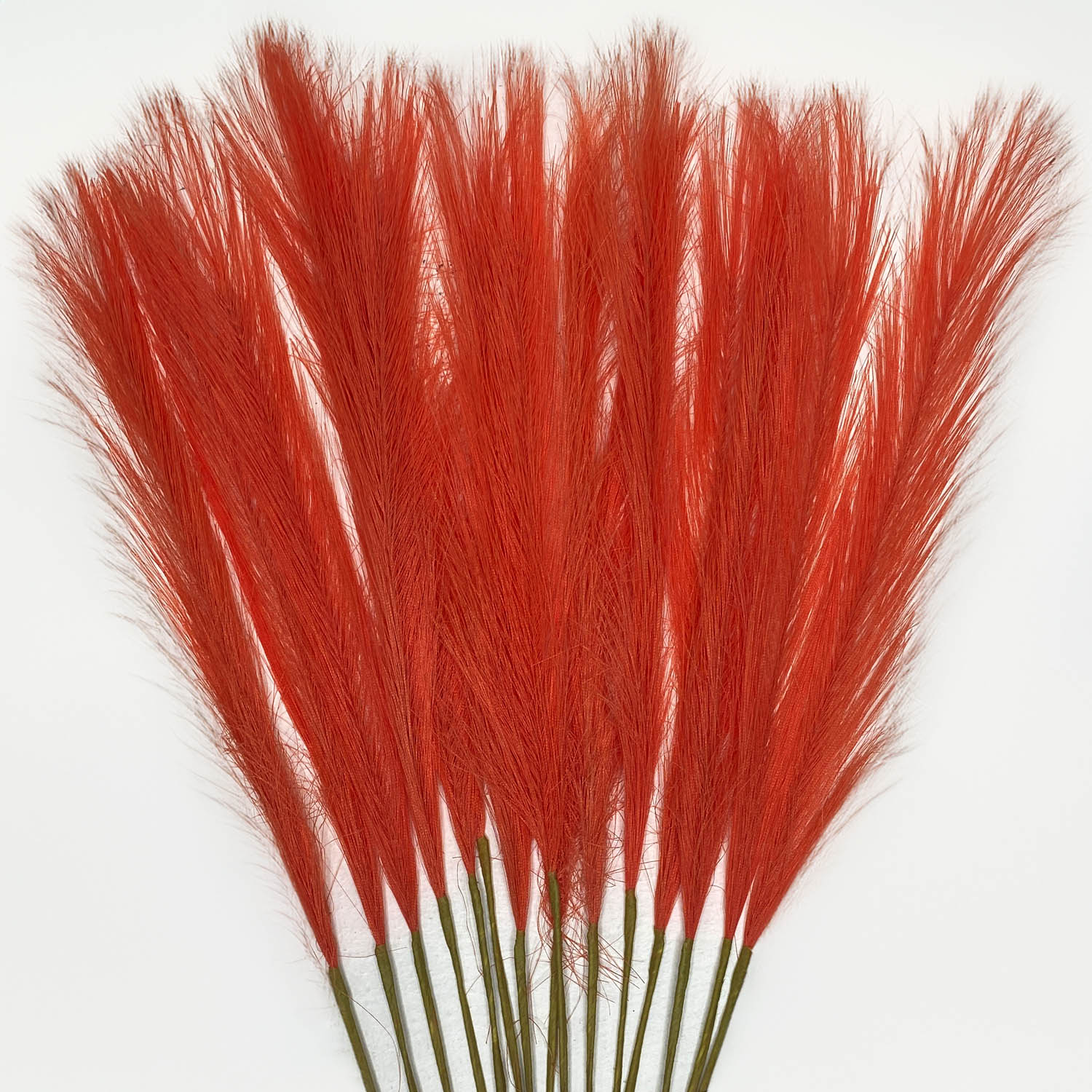 15 Mini Pampas Grass (Pumpkin Colourway)