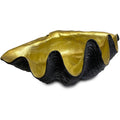 Giant Clam Shell Ornament (Black & Gold)