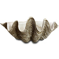 Giant Clam Shell Ornament (Natural)