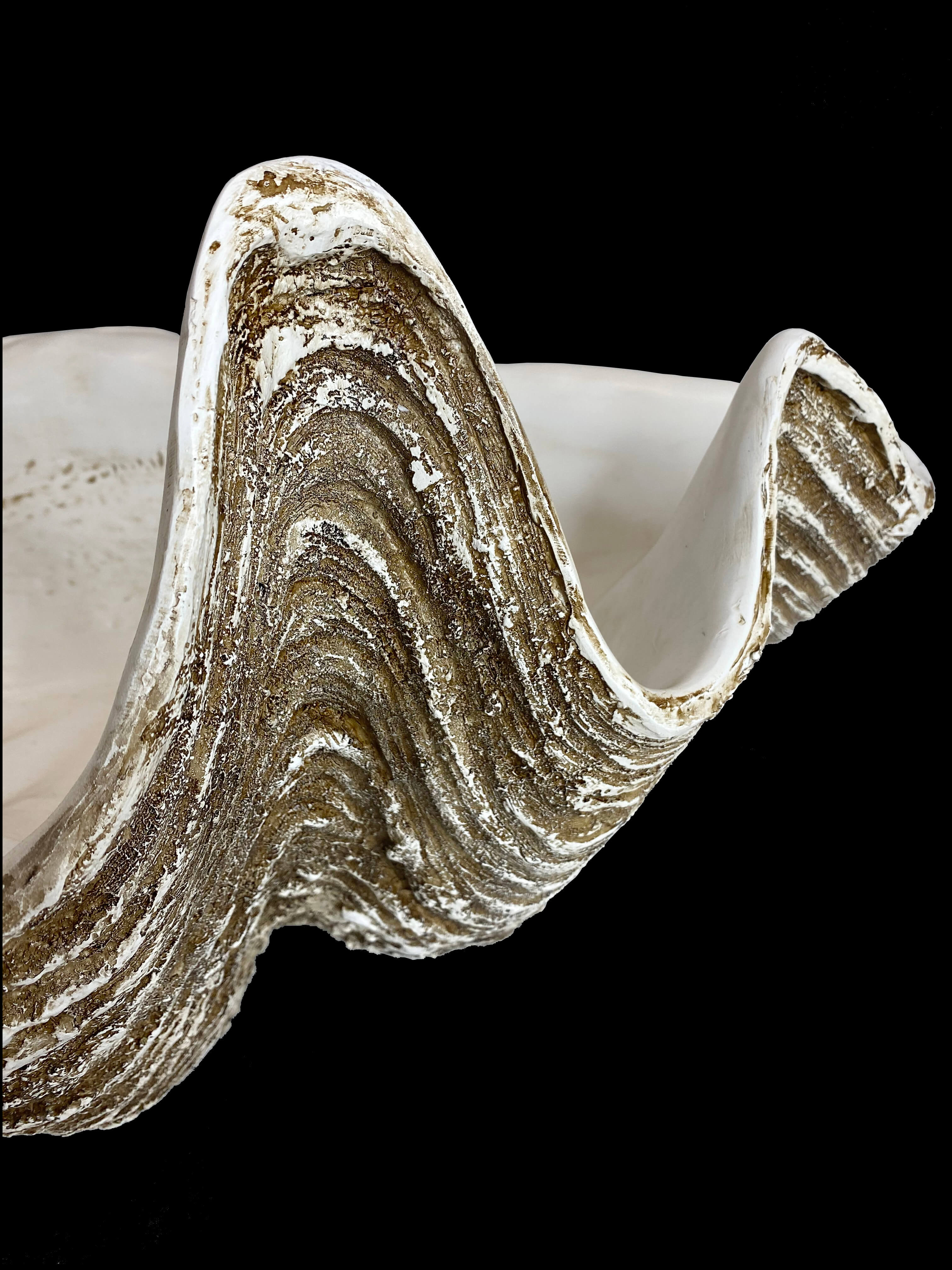Giant Clam Shell Ornament (Natural)
