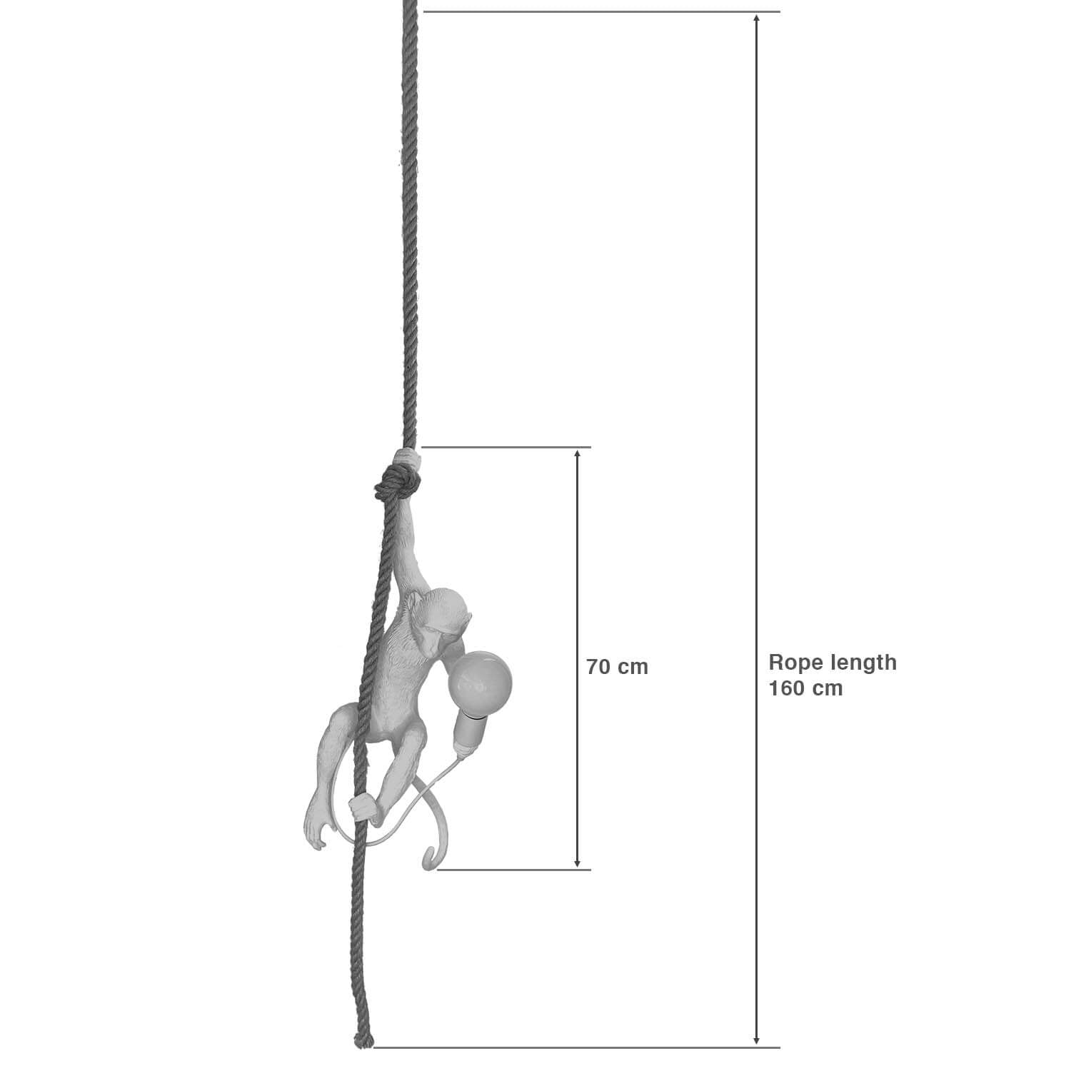Monkey Pendant Light <br>(Swinging on Rope)