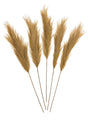 5 Faux Pampas Grass Plumes (Toffee)