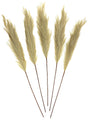 Faux Pampas Grass Wheat