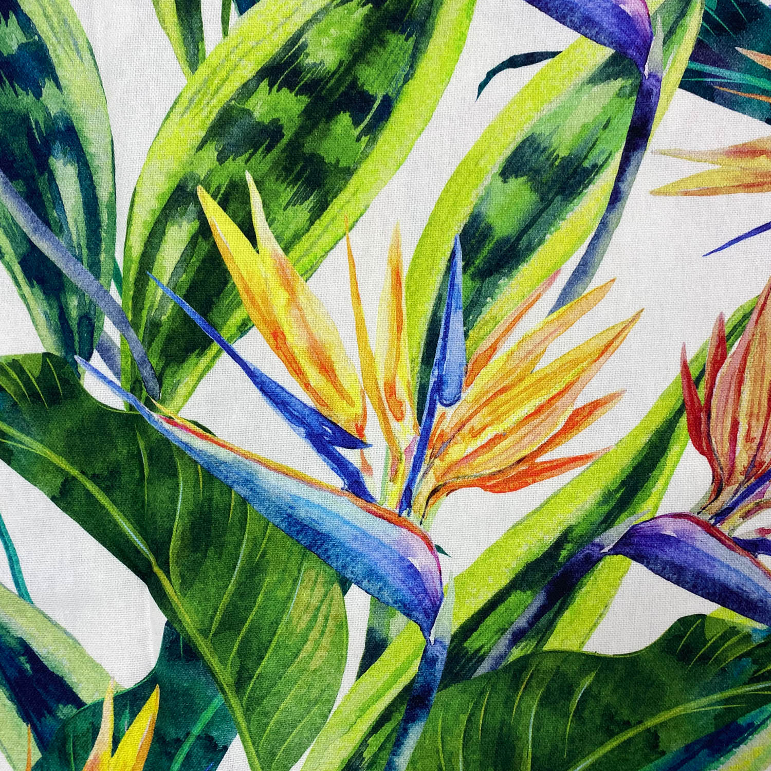 Strelizia Tablecloth