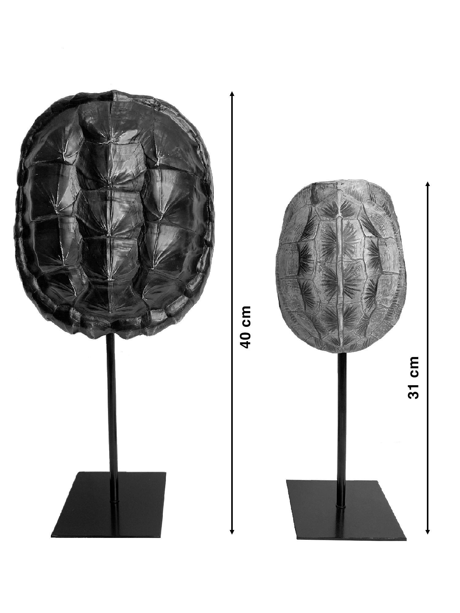 Turtle & Tortoise Shell Ornaments
