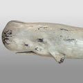 Sperm Whale Ornament - White